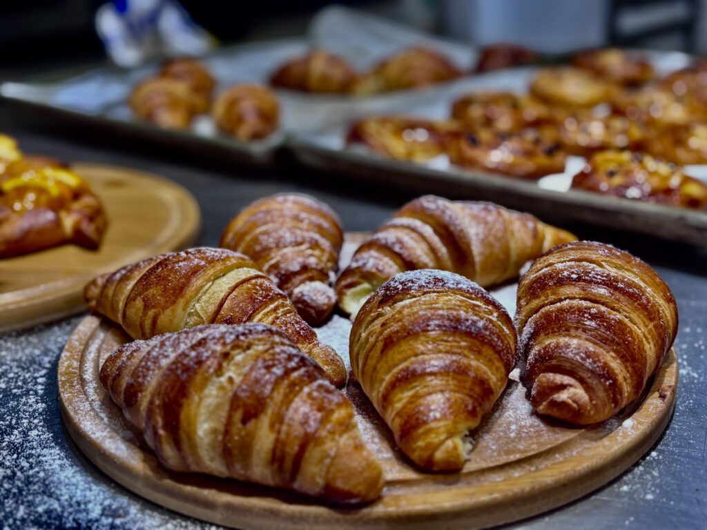 498642977_122105165906871851_6227172627041759492_n