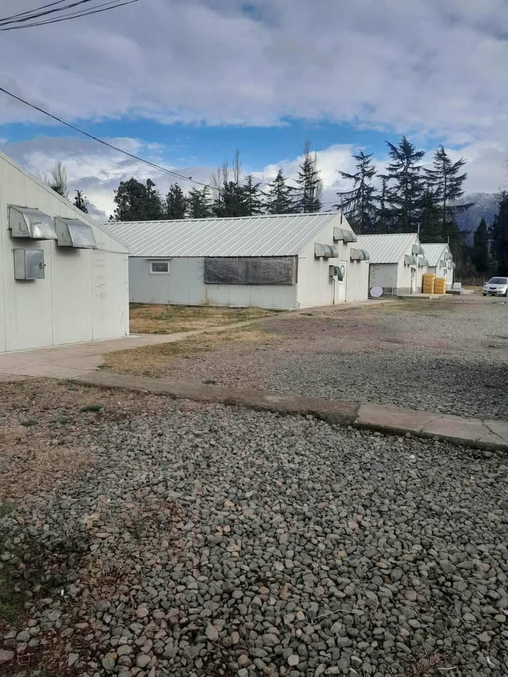 680320777_1513423470457957_6238158325106304573_n