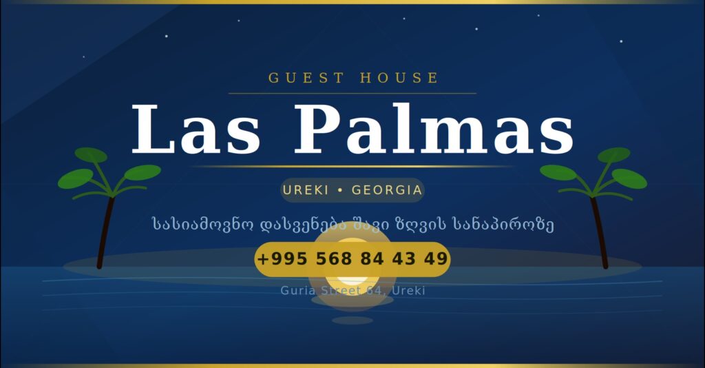 las_palmas_banner